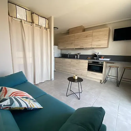 Apartment Renove: Centre Lavandou, A Proximite, Terrasse, Climatisation - Fr-1-816-11 *